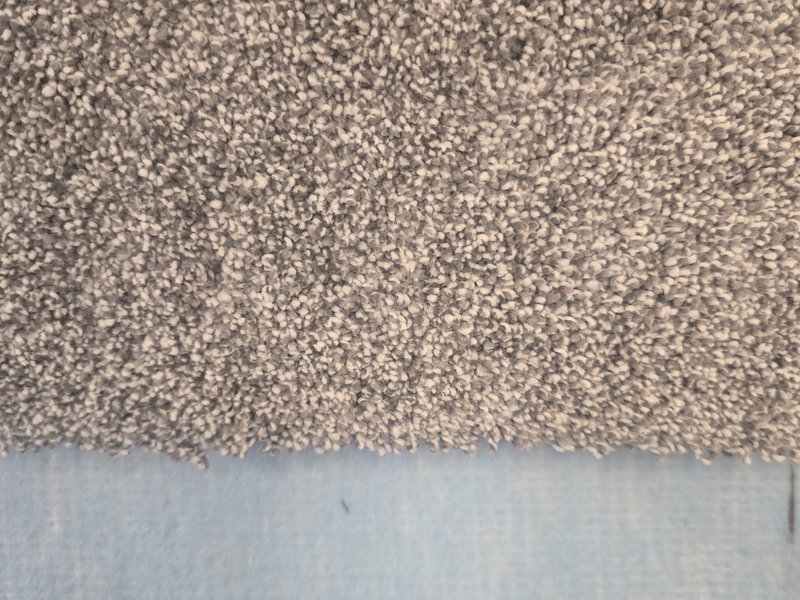 Midland - Clark from Floorz Carpet Outlet is in stock